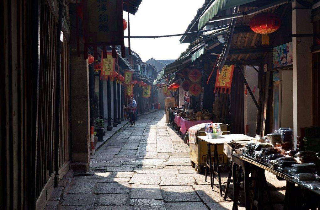 救援鹦鹉